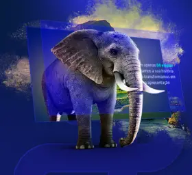 Elefante fundo azul chave mestra agência de comunicação